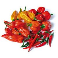 PIMENTS